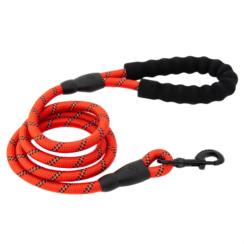 5FT Reflective Dog Leash Nylon with Padded Handle