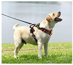 Dog Harness No Pull Pet Harness Adjustable Reflective Vest 100% Oxford Strong L