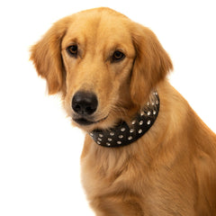 Rhinestone Dog Collar Leather Pitbull Diamonds Bling Pet Pup Non Spike S M L XL