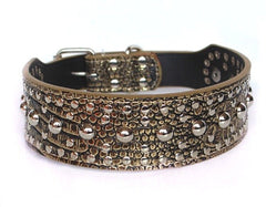 Studded Spiked Metal Dog Collar Faux Leather Pitbull Mastiff Spiked GOLD LEOPARD