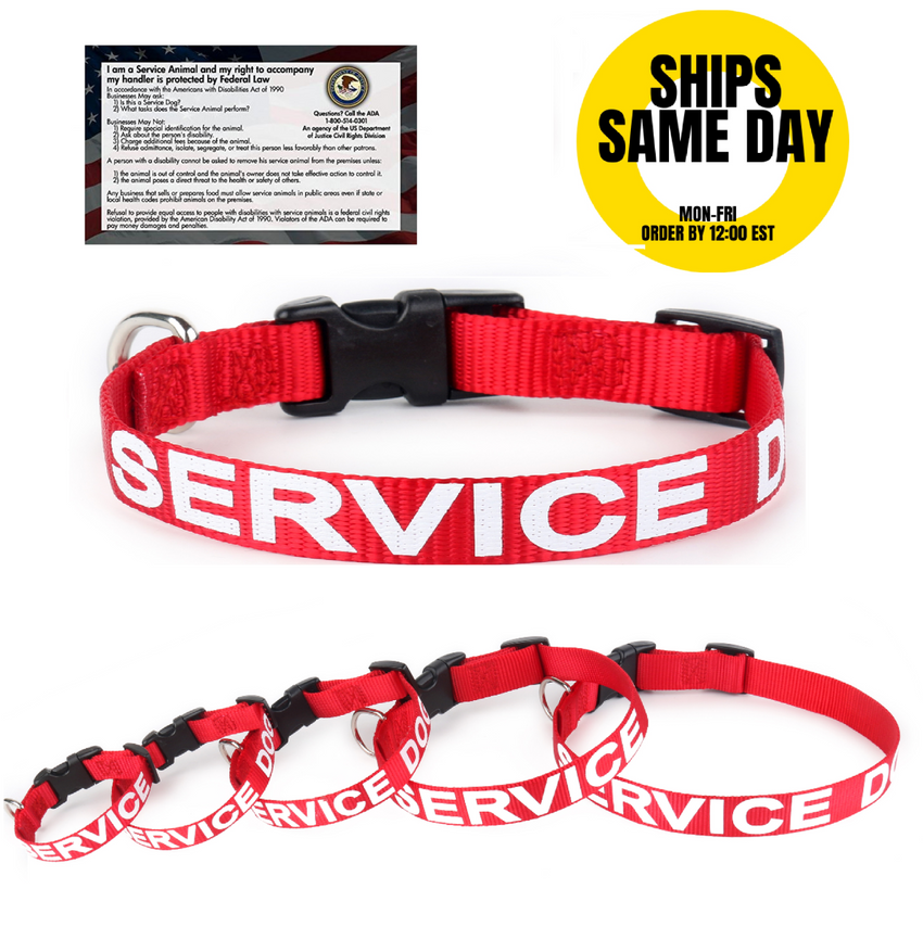 ALL ACCESS K-9 Service Dog Collar Canine Adjustable Red Reflective Buckle XS-XL