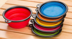 1 Collapsible Travel Dog Food Water Bowls BPA Lead Free Carbiner Red Blue Green