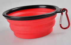 3 Collapsible Travel Dog Food Water Bowls BPA Lead Free Carbiners Red Blue Mixed