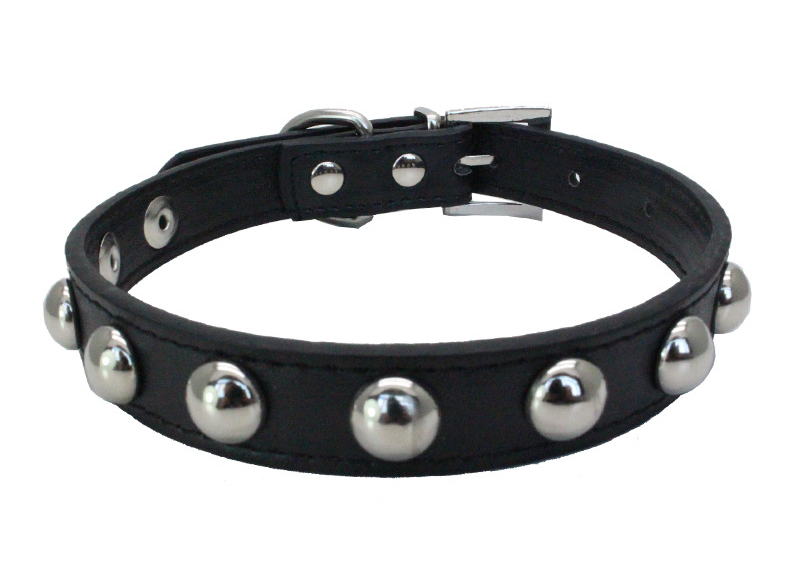 Small Studded Rivet Dog Leather Collar Puppy Cat Terrier Mini XS S M Adjustable