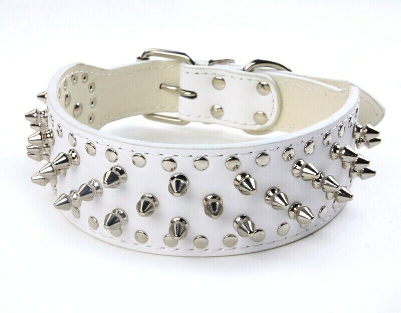 WHITE Metal Spiked Studded Leather Dog Collar Pit Bull Rivets L XL Large Breeds