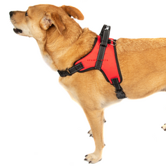 No Pull Adjustable Dog Pet Vest Harness Quality Nylon PLUS LEASH XS S M L XL XXL