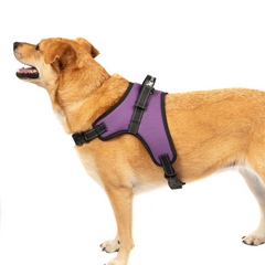 No Pull Adjustable Dog Pet Vest Harness Quality Nylon PLUS BOWL XS S M L XL XXL FREE BOWL